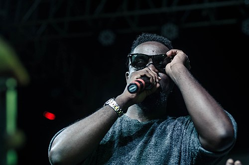Sarkodie artist image